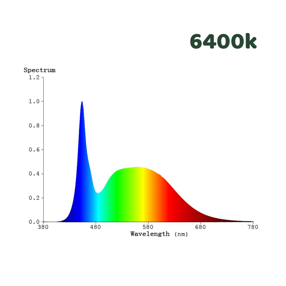 6400k light spectrum