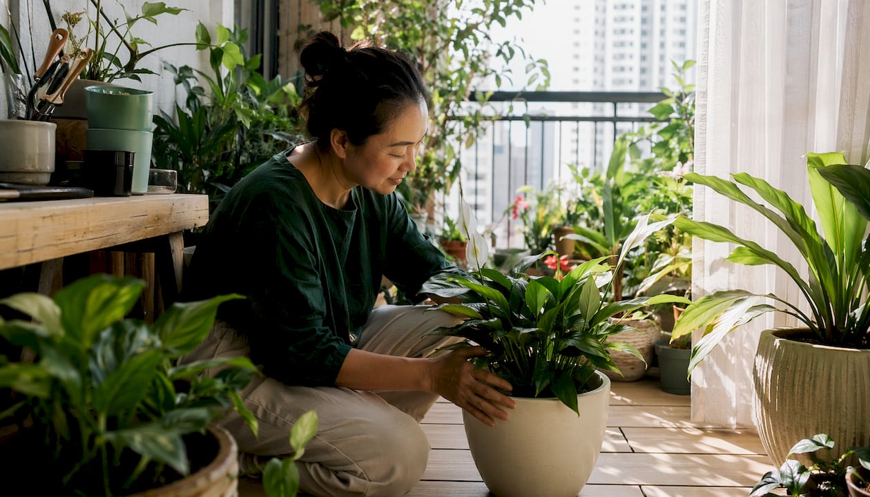 Woman tending plants on balcony in morning sunlight