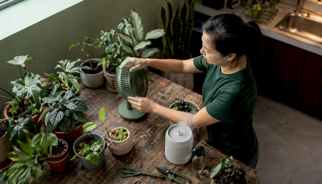 Woman adjusting fan near indoor plants in Singapore home