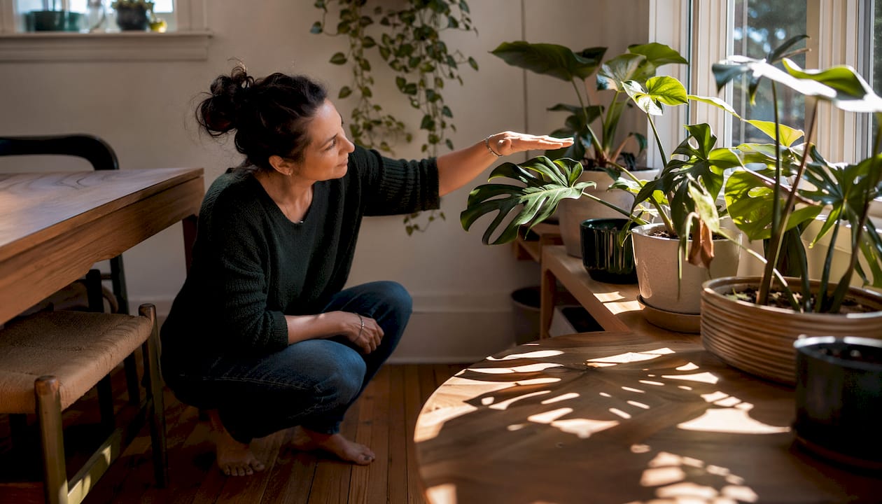 Person checking plant leaf shadow for light