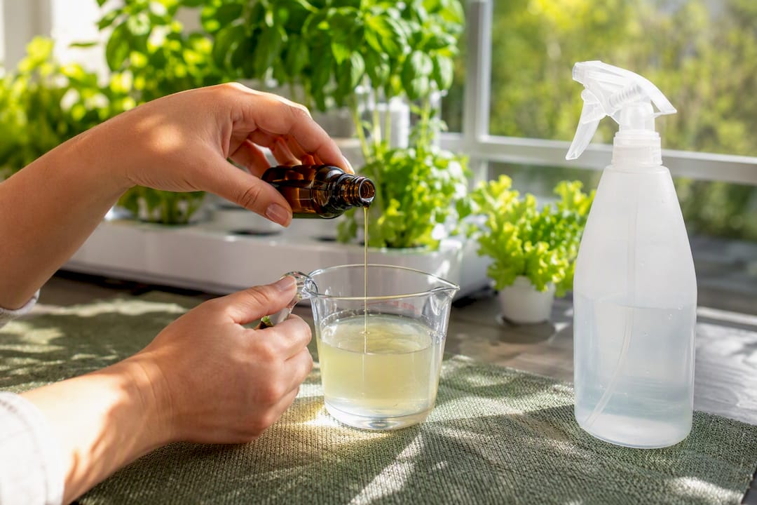 Hands pouring neem oil into measuring cup