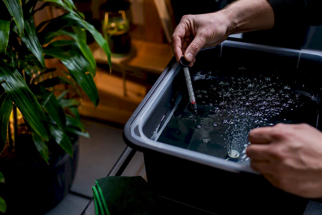 Checking hydroponic reservoir temperature and oxygen
