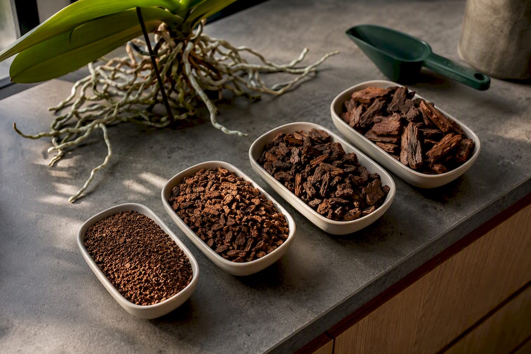 Four orchid bark grades arranged by particle size